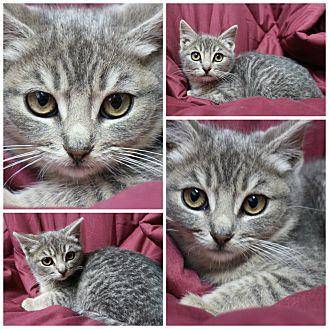 Ingrid (20637227)