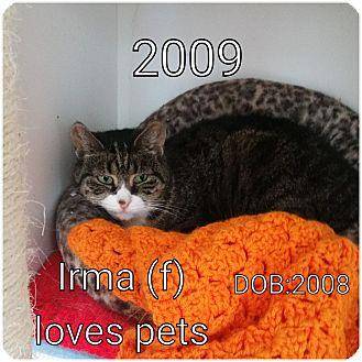 Irma (16552224)