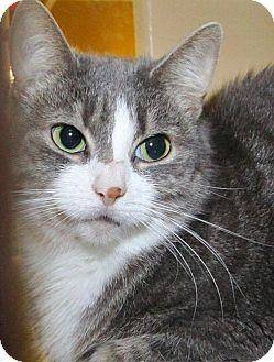 Isabel (16537160)