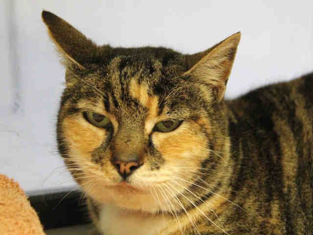 ISOBEL (A1069917)