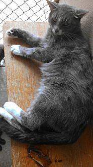 Izzy (10643701)