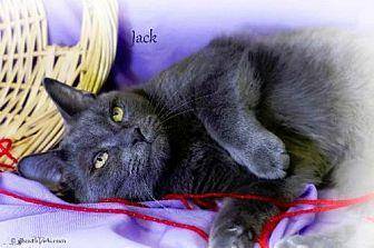 Jack (10643703)