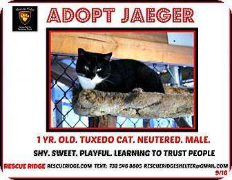 Jaeger (18096903)