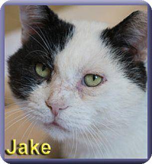 Jake (16283511)