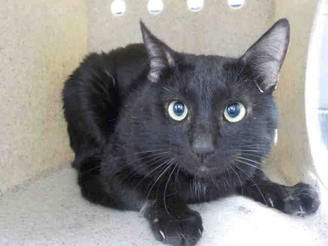 JAKE (A1935593)