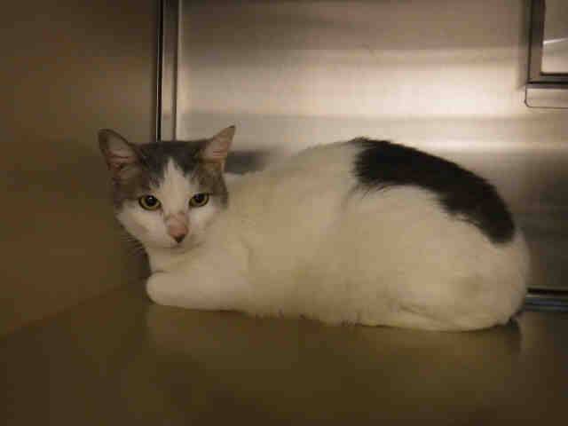 *JANE* (A135223)