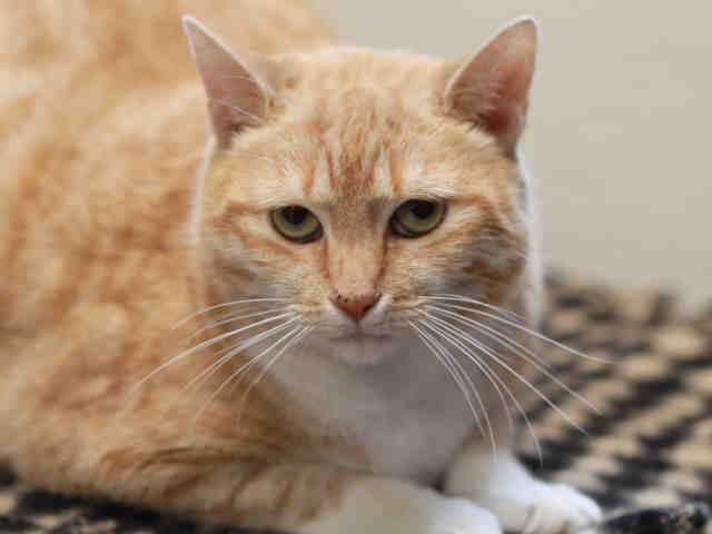 JANE (A165295)