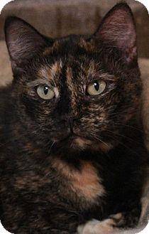 Janie (11249135)