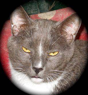 Jasper (14877166)