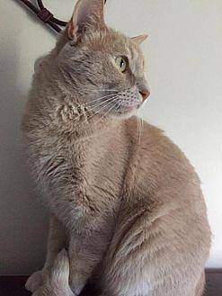 Jasper (18725033)