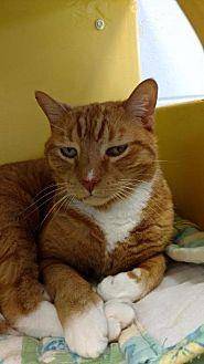Jasper (19725810)