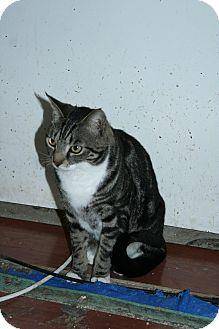Jasper (7536208)