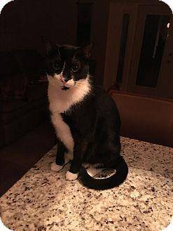 Jerry (17226867)