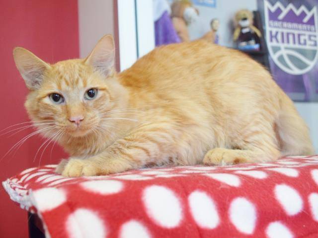 *JERRY (A731215)