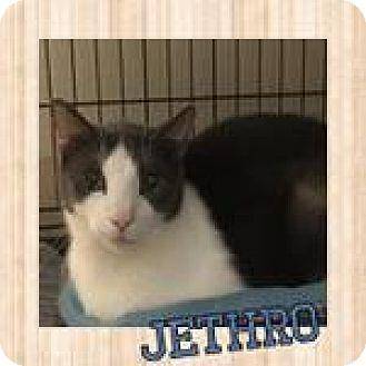 Jethro (17961896)