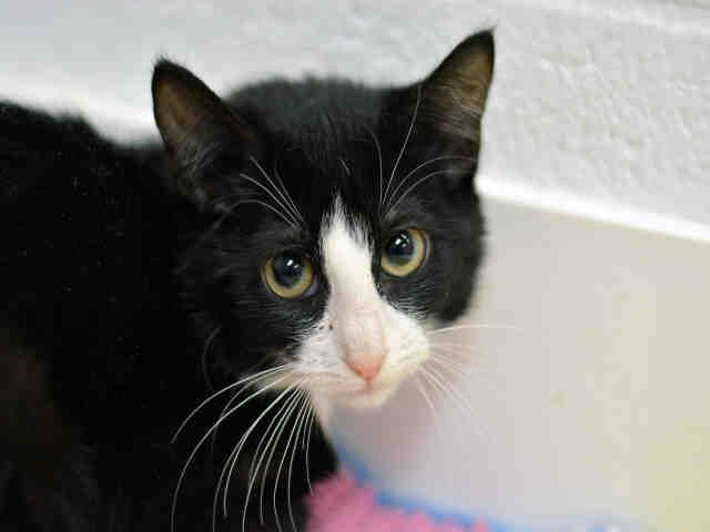 JILL (A1931723)