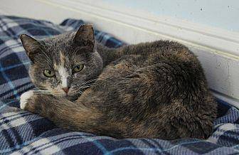 Jilly (10473956)