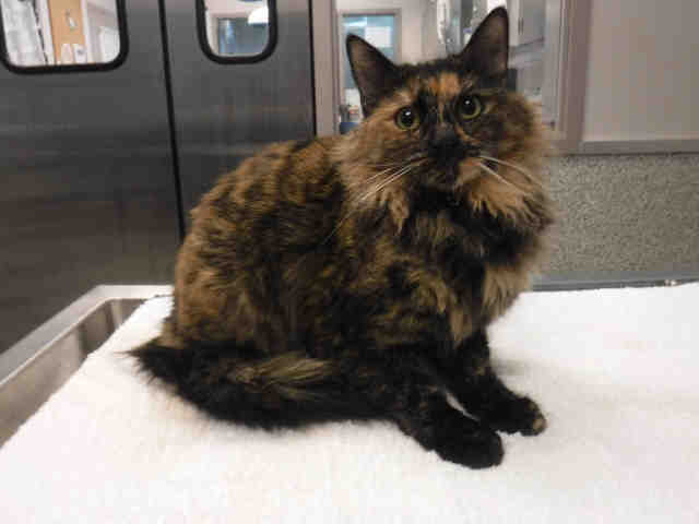 *JO* (A135619)