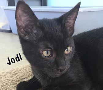 Jodi (19880203)