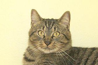 Joey (20137119)
