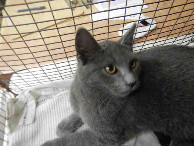 JONATHAN (A1070114)
