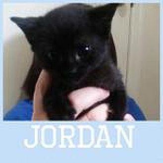 Jordan (19932272)
