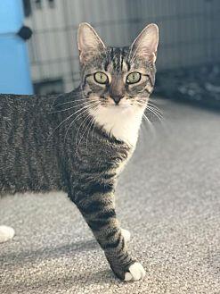 Junebug (18122652)