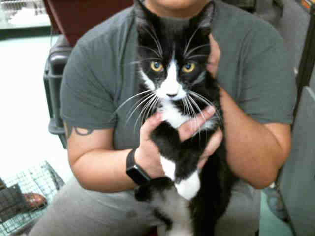 JUNIOR (A132474)