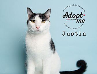 Justin (18918485)