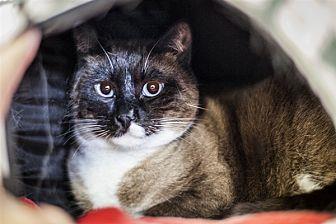 Kahlua (20342530)