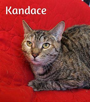 Kandace (19547965)