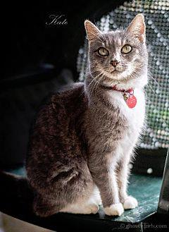 Kate (10643712)