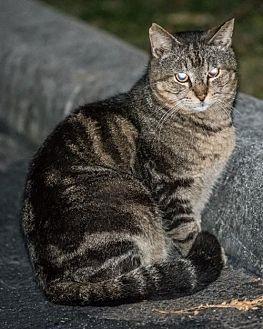 Kathy (18187237)
