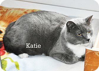 Katie (18111585)