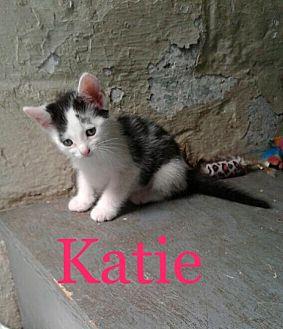 Katie, Korey (18942807)