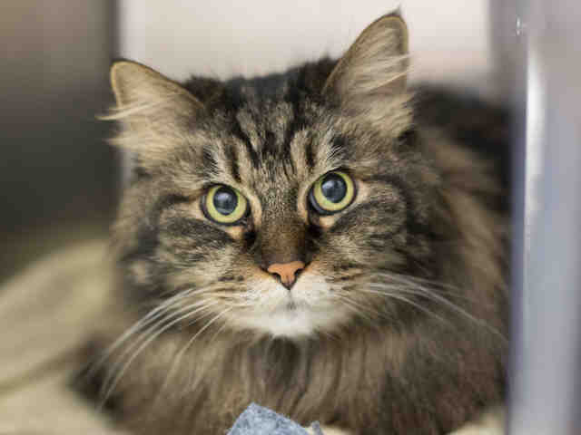 KAYLA (A905987)