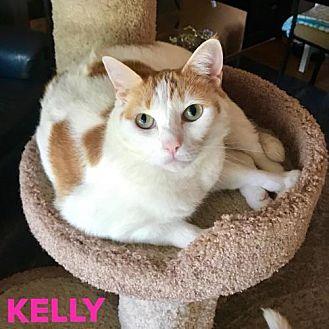 Kelly (19206617)