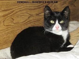 Kendall (13782905)