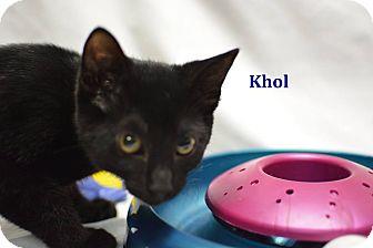 Khol (18864220)