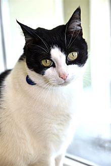 Kiki (19410512)