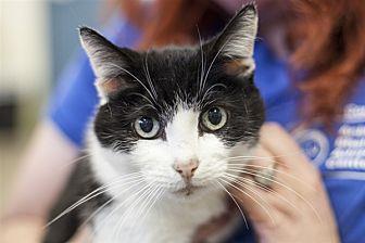 Kiki (20381106)