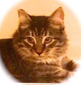 Kiki (20542381)