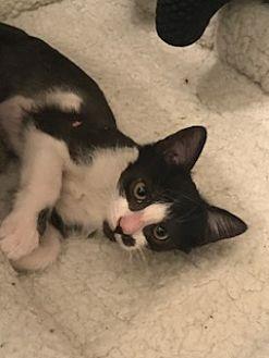 Kiki (20684642)