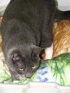 Kitty Wells (10643718)