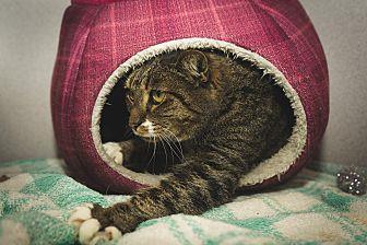 Kizzy (20484703)