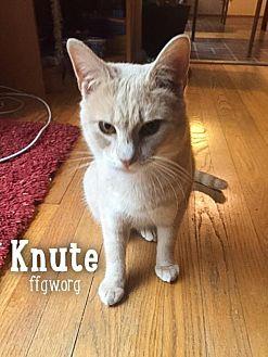 Knute (20305634)