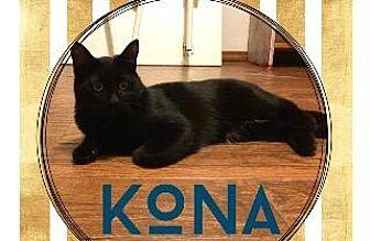 Kona (18446962)