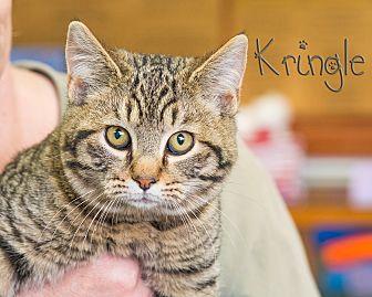 Kringle (20347722)