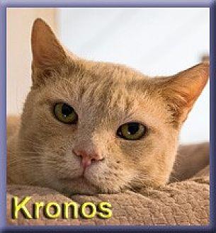 Kronos (20356634)
