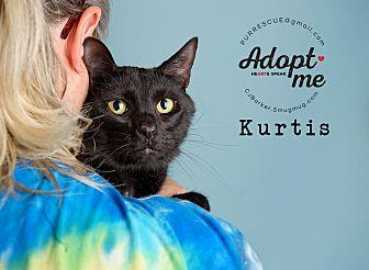 Kurtis (18930676)